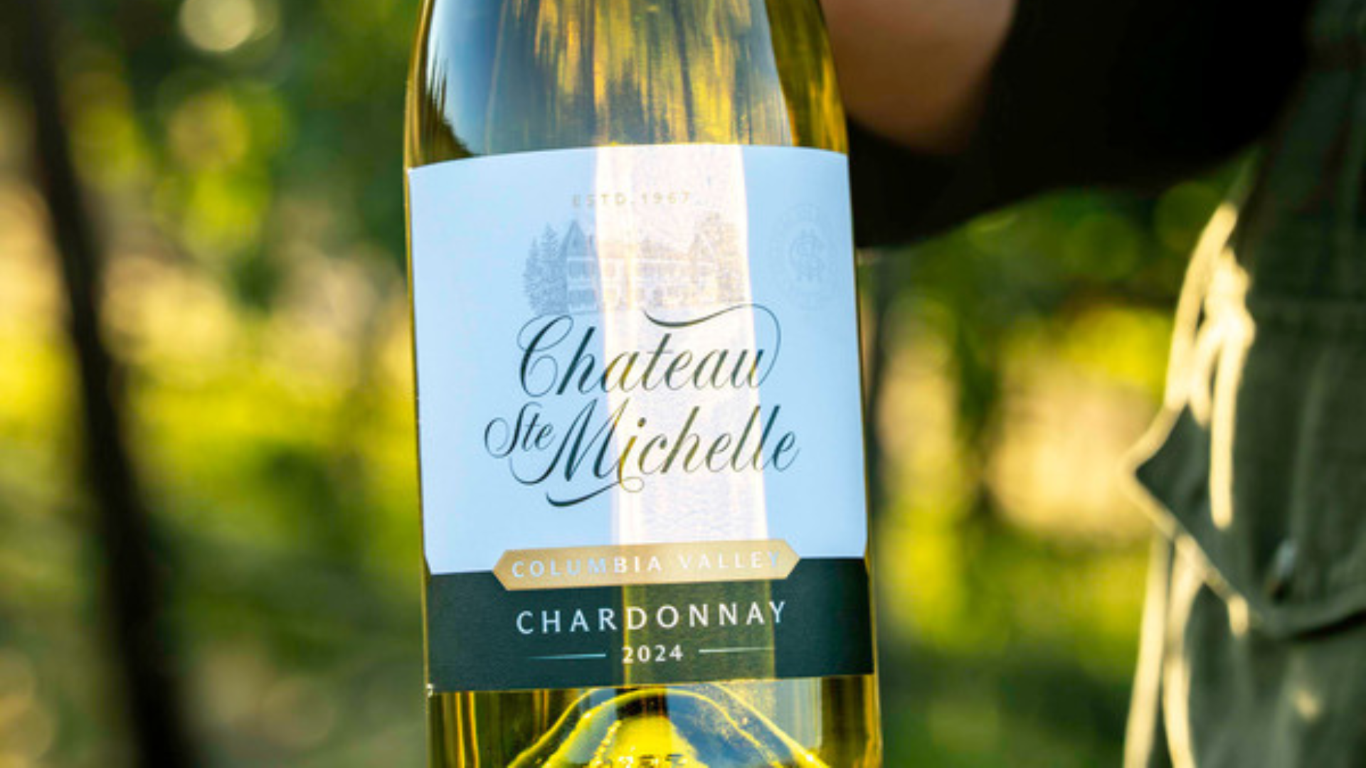 Chardonnay wine bottle in sunlight